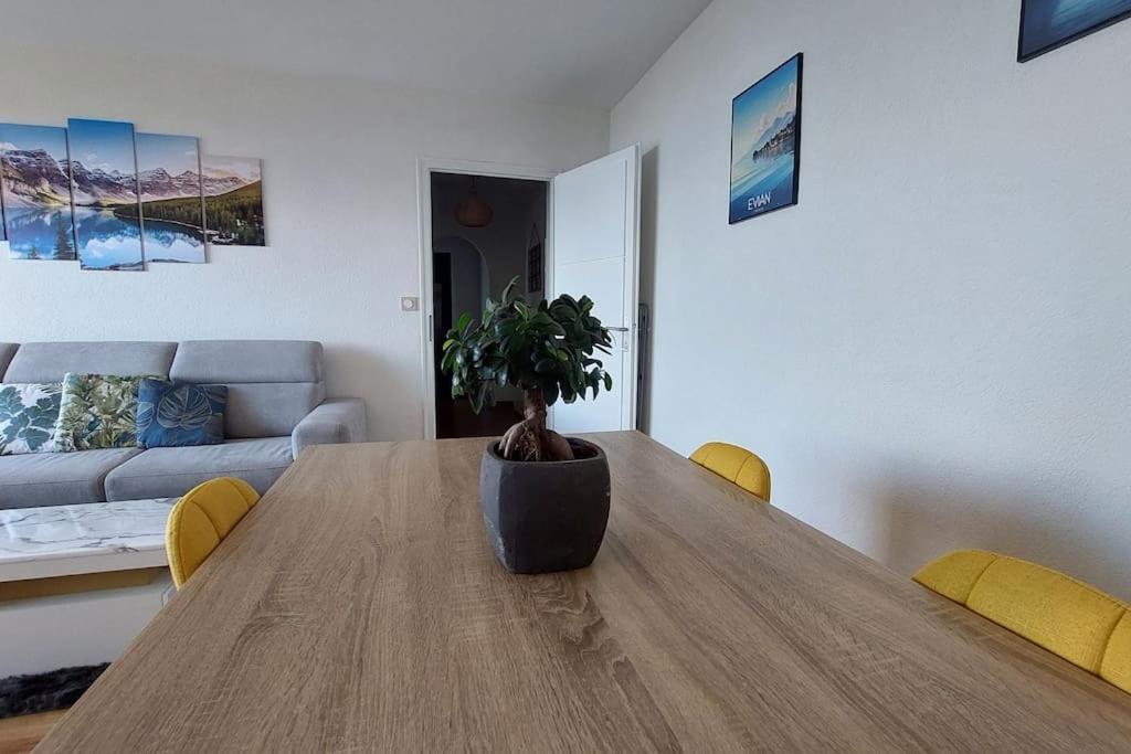 Appart Cosy Avec Vue Sur Le Lac Leman Evian-les-Bains Exterior photo