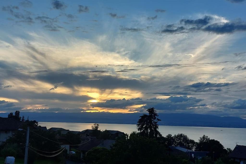 Appart Cosy Avec Vue Sur Le Lac Leman Evian-les-Bains Exterior photo