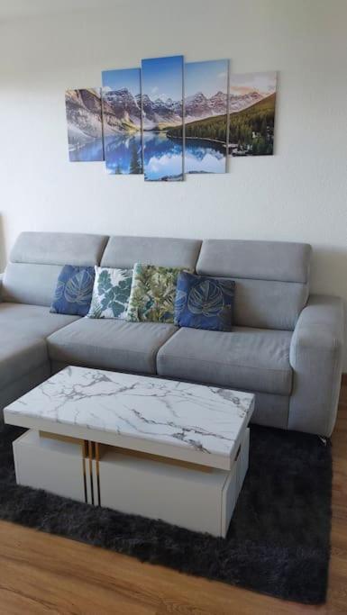 Appart Cosy Avec Vue Sur Le Lac Leman Evian-les-Bains Exterior photo